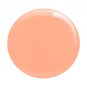 Gotti Fusion Powder 2 oz - His Favorite Peach 61F 27951