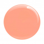 Gotti Fusion Powder 2 oz - Beach Babe Blush 62F 27952