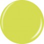 China Glaze Trip Of A Lime Time 0.5 oz.  #1376 (82379)