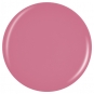 China Glaze Pretty Fit 14ml/ 0.5 fl oz #1591 (84146)