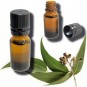 Smootlyss Eucalyptus Essential Oil 15ml Made In Canada 00327