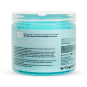 BCL SPA Critical Repair Sugar Scrub Arnica Aloe 16 oz 57112