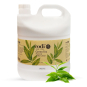 Codi N Codi Lotion Gallon - Green Tea 77953