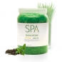 BCL SPA Dead Sea Salt Soak 64 oz- Lemongrass+Green Tea 50001