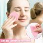 Sawhill Pink Compressed Cellulose Sponges 12PK 45125