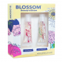 Blossom Moisturizing Lip Gloss 2Pcs Gift Set BL-GS26 50027