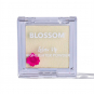 Blossom 2PC Set Mood Swingz/Highlighter Powder 50034