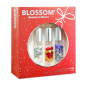 Blossom Roll-On Lip Gloss 3Pcs Gift Set 80501