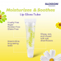 Blossom Moisturizing Lip Gloss 0.3 fl oz Lemon Tart 80534