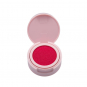 Blossom Fresh Impressions Blendable Blush Peony Punch 90374