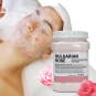 Pure Himalayan Jelly Mask Powder 650g 09564