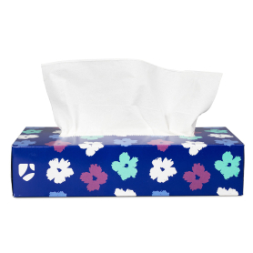 Dukal Facial Tissue Premium 2 Ply 8"x8.3" 100/Box TIS102