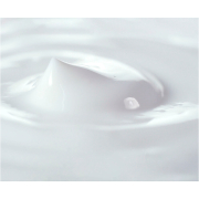 Revlon Revlonissimo Pure Color 012 Iridescent Grey 2oz P012