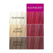 Wella Color Charm Paints 2 oz Raspberry 71607