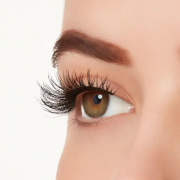 Ardell Active Lash - Speedy 64688