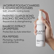 Olaplex Volumizing Blow Dry Mist 5 oz 07622