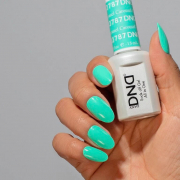 Daisy Soak Off Gel All In One Set - Carousel DND787