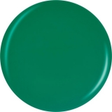 China Glaze Emerald Bae 14ml/0.5 fl oz #1522 (80017)