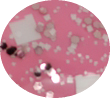 OPI Let's Do Anything We Want! 0.5 oz. NL M78