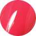 Ruby Wing Poppy 0.5 oz. - 1037