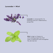 BCL SPA Sugar Scrub 64 oz - Lavender+Mint - SPA50014