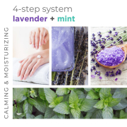 BCL SPA Sugar Scrub 64 oz - Lavender+Mint - SPA50014