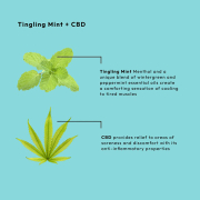 BCL SPA Massage Cream 64 oz - Tingling Mint + CBD 56106