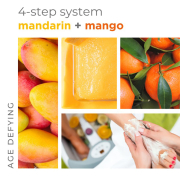 BCL SPA Dead Sea Salt Soak 64 oz - Mandarin+Mango 50007