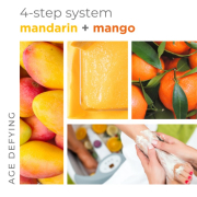 BCL SPA Moisture Mask 64 oz - Mandarin+Mango 50009