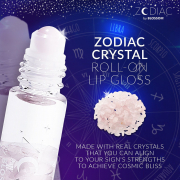 Blossom Zodiac Roll-on Lip Gloss Ornament Box - Libra 20042