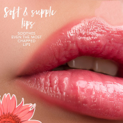 Blossom Roll-on Lip Gloss Strawberry BLLG1-LOVE 80021