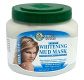 Hollywood Style Facial Whitening Mud Mask 10 fl oz 75578