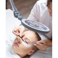 Daylight IQ Magnifier LED Lamp U25100