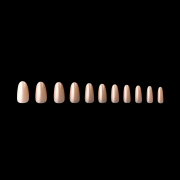 Apres Gel-X Alex Neutrals Natural Round Medium 150Tips 40037