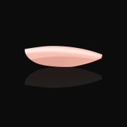 Apres Neutrals Gel-X Chloe Natural Round Short 40200