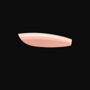 Apres Neutrals Gel-X Chloe Natural Coffin X-Short 41306