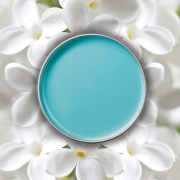 Satin Smooth Tea Tree Wax 14 oz. SSW14TTG / 27948