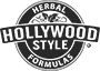 Hollywood Style Logo