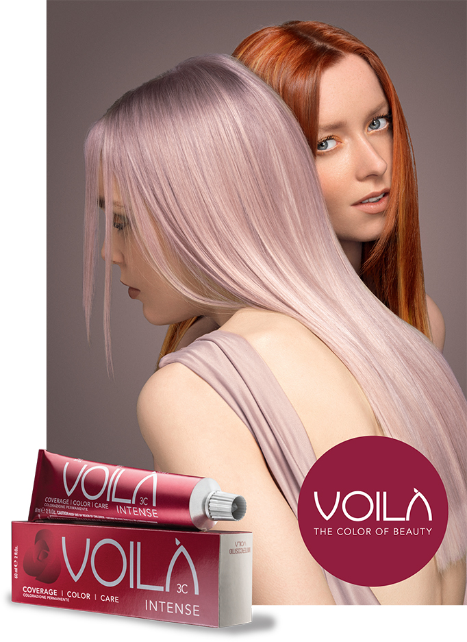 Hair Styling Demo Day by Voila