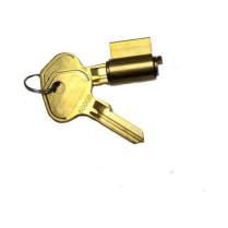 Master Lock 296W6000KZ Pro Series Cylinder - 0-bitted