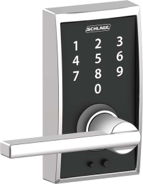 Schlage FE-Series FE695 CAM 625 ACC Entry Door Set