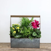 6X11" PLANTER, GALV METAL TOOLBOX