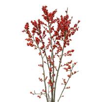 ILEX, RED, 40CM