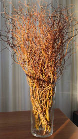 CURLY WILLOW, RED, BUNCH, MEDIUM