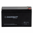 WP1225W   Batterie AGM 12V 25W T2/T1 (UPS)