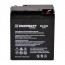 WP8-6   BATTERIE AGM 6V 8 AMPS SCELLEE