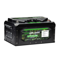 WWLI-24V5120  Batterie LiFePO4 24V 200Ah 0.75C Bluetooth et chauffante
