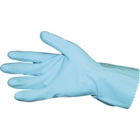 Gloves- Blue/Large/Latex/GP/DZ
