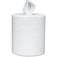 Paper Towel-1 ply/250sht/4 Ctn