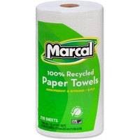 Paper Towel-2 ply/12 rolls/Ctn